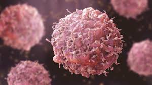 A vaccination camp to prevent cervical cancer 